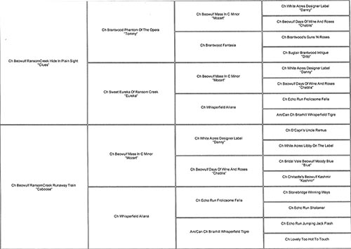 Pedigree