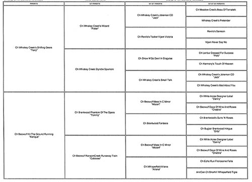 Pedigree