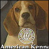 Clues AKC ad
