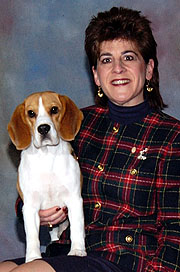 Terri and Clues