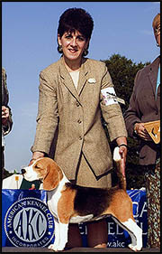 Terri and Clues