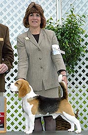 Terri and Clues